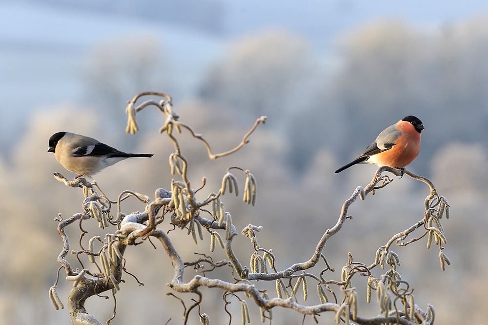 Keine Kommunikation in der Beziehung.
