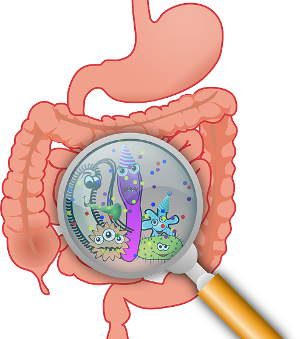 Darmsymbiose, Dissymbiose, Darmbakterien, Depressionen, Symbioselenkung, Diät, fasten, heilfasten